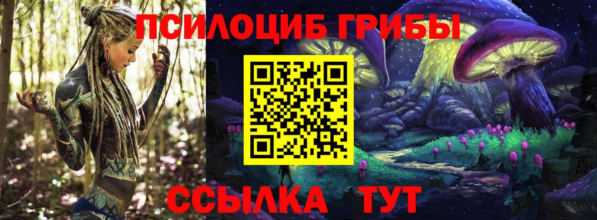 Псилоцибиновые грибы ЛСД  Галлюциногенные грибы Psilocybe  Вход с VPN  Нягань 